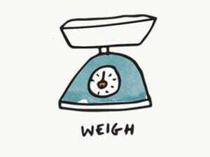 web design tool - scale